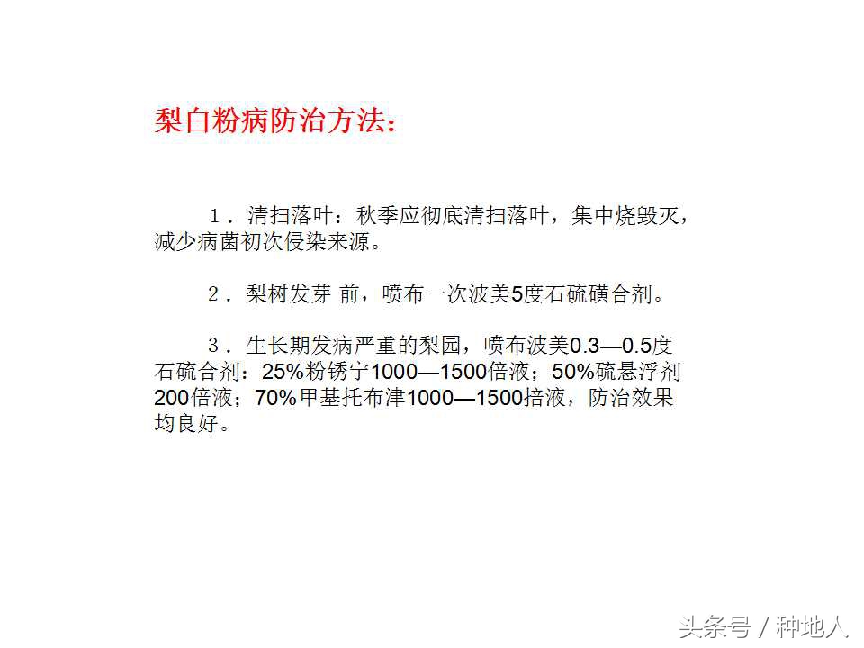 梨樹病蟲害防治,梨樹病蟲害防治時間表