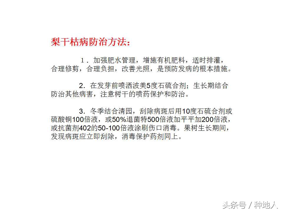 梨树病虫害防治,梨树病虫害防治时间表