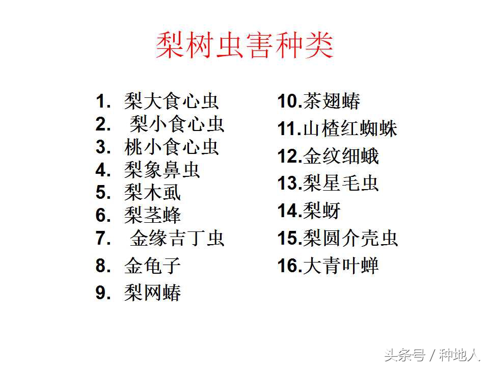 梨樹病蟲害防治,梨樹病蟲害防治時間表