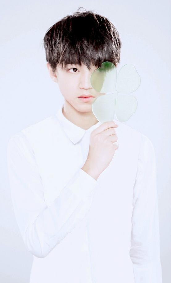 王俊凯登上富豪榜,年仅17岁,身价已达2.48亿 - 114货源网