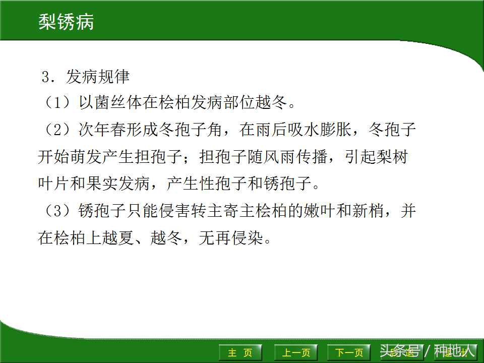梨樹病蟲害防治,梨樹病蟲害防治時間表