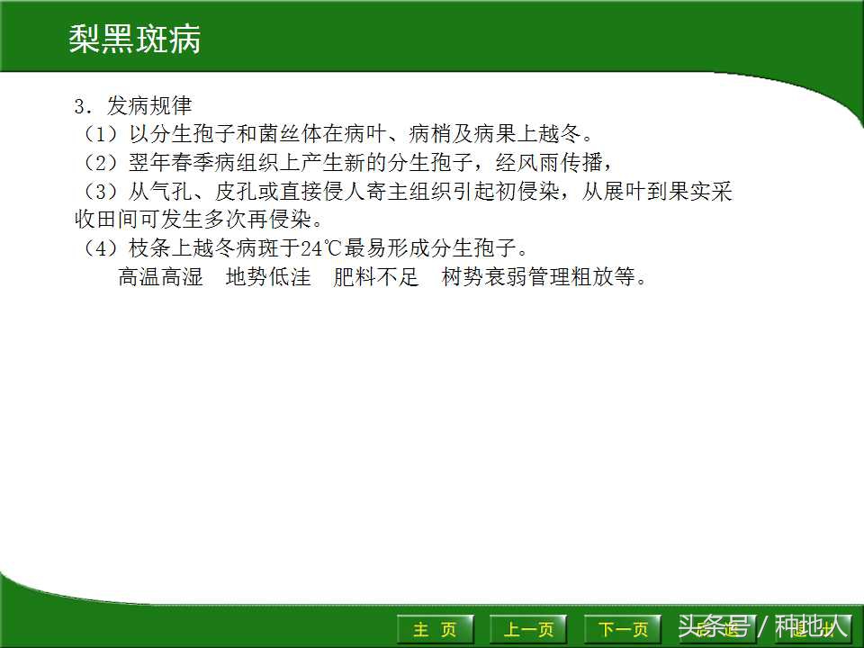 梨樹病蟲害防治,梨樹病蟲害防治時間表