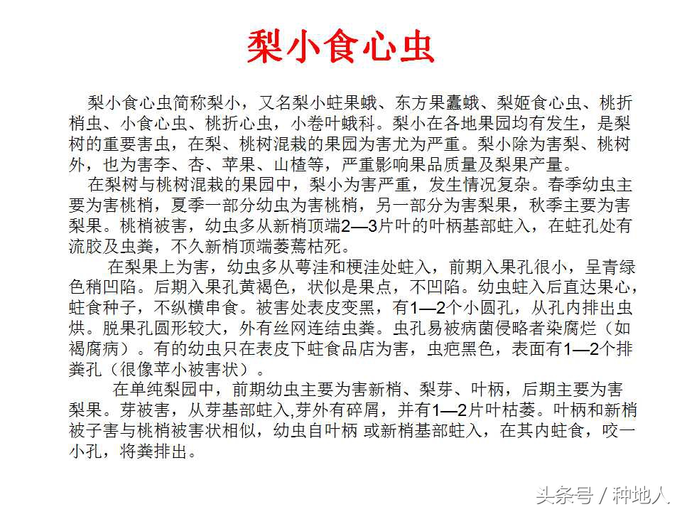 梨樹病蟲害防治,梨樹病蟲害防治時間表