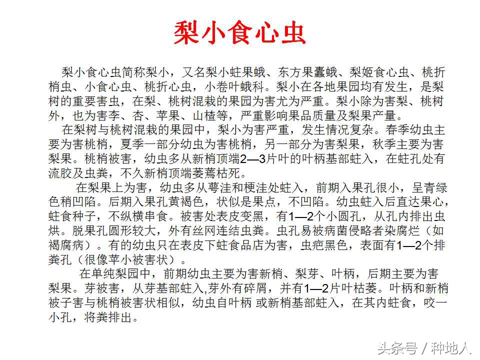 梨树病虫害防治,梨树病虫害防治时间表