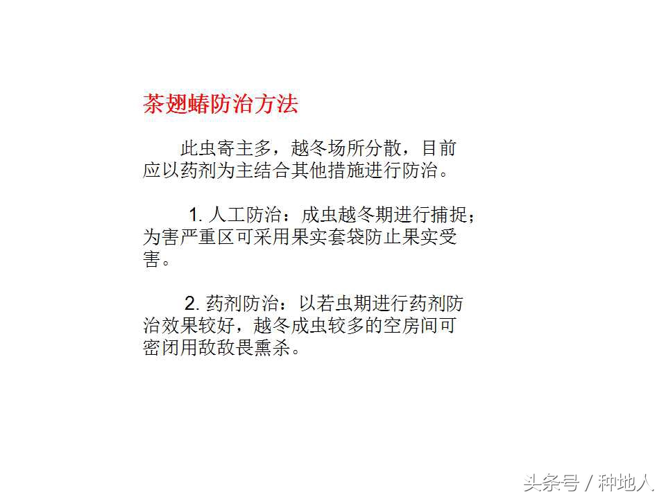 梨樹病蟲害防治,梨樹病蟲害防治時間表