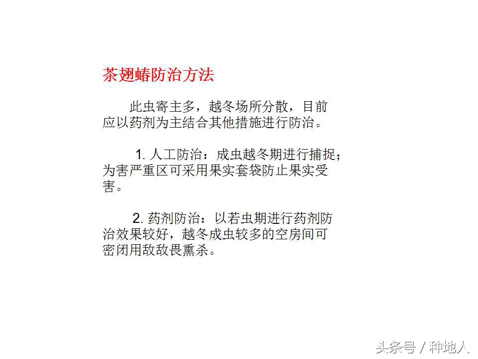 梨树病虫害防治,梨树病虫害防治时间表