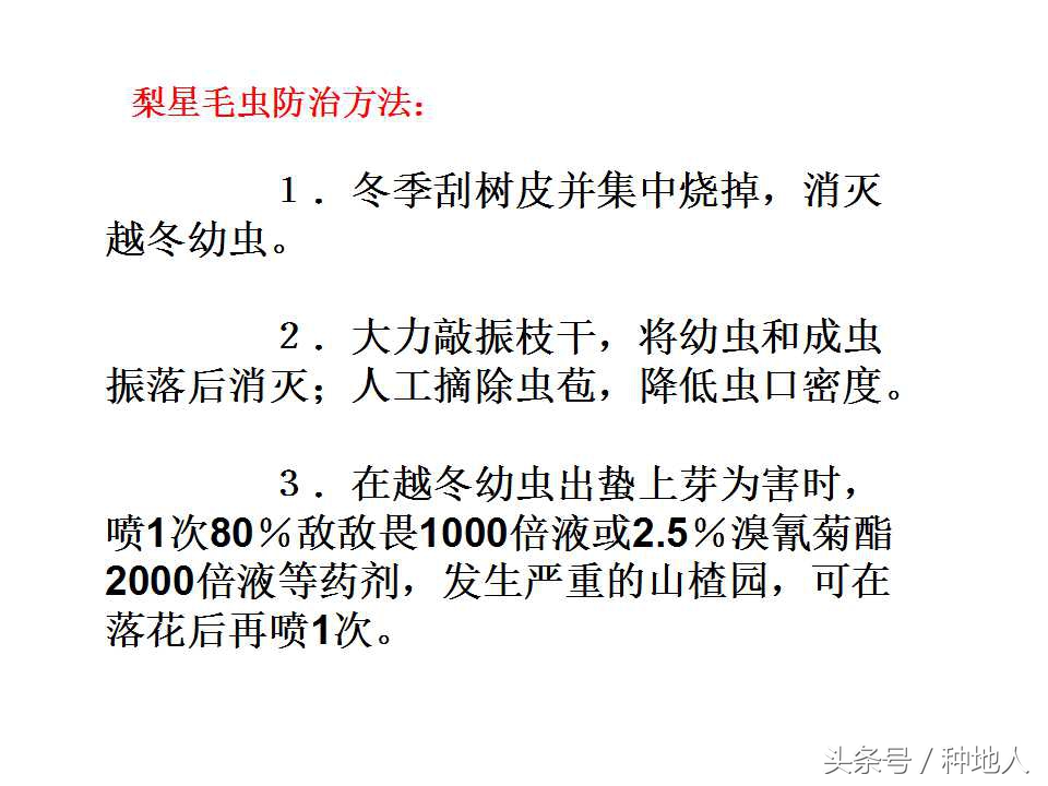 梨樹病蟲害防治,梨樹病蟲害防治時間表