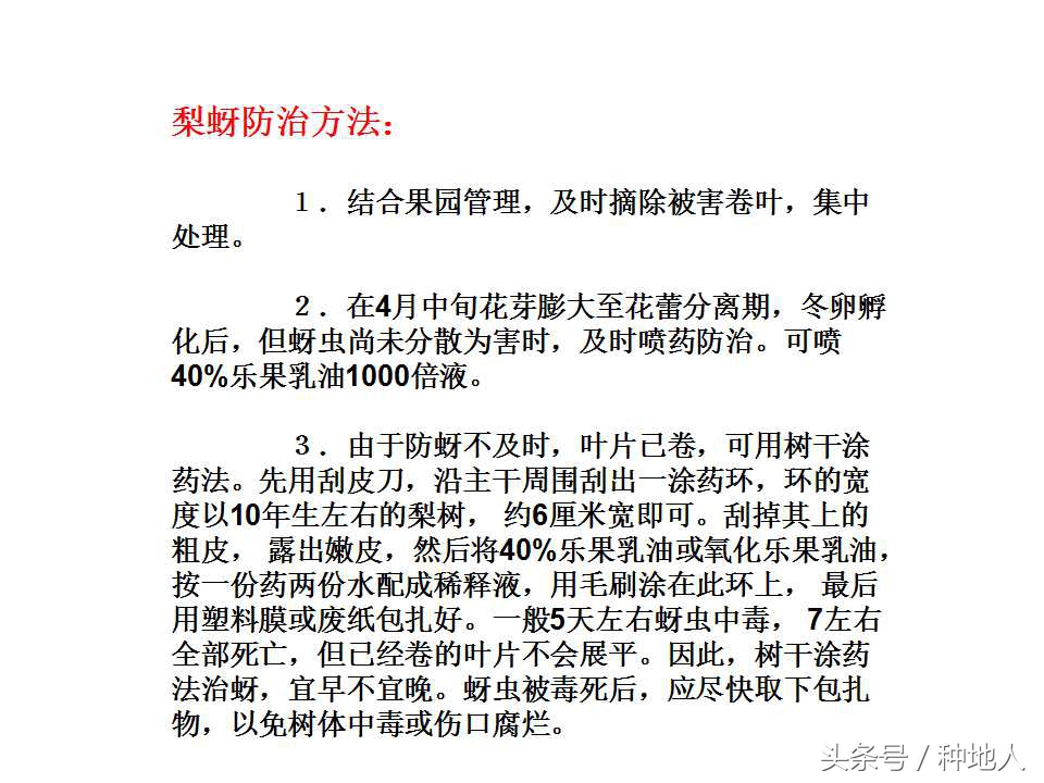 梨树病虫害防治,梨树病虫害防治时间表