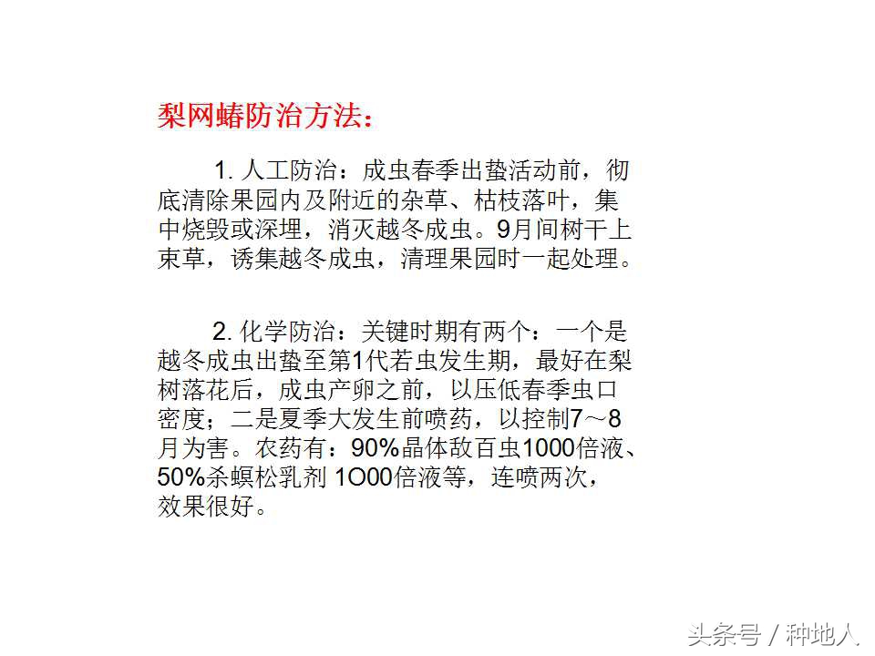 梨樹病蟲害防治,梨樹病蟲害防治時間表
