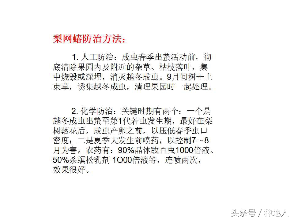 梨树病虫害防治,梨树病虫害防治时间表