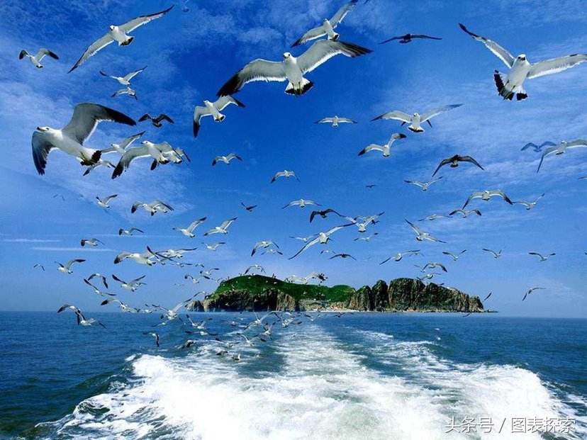 山东省威海市拥有4所大学 ，一本三专 还需继续努力