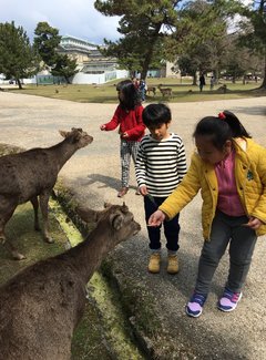 悦本堂 灸减肥招聘赶（粉粉樱花季浓浓少女心）