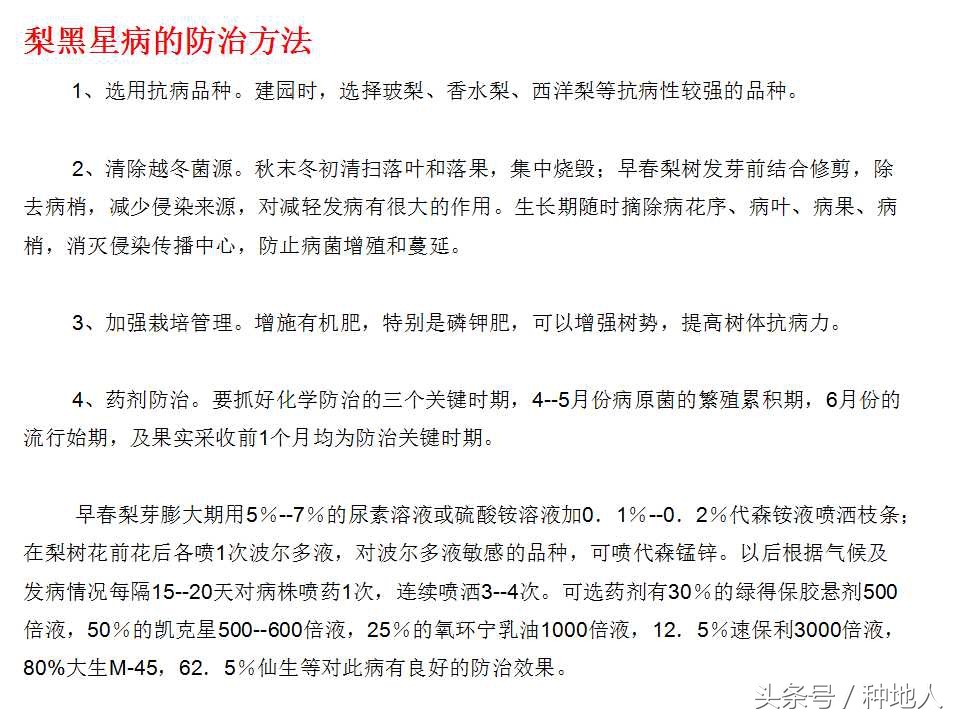 梨樹病蟲害防治,梨樹病蟲害防治時間表