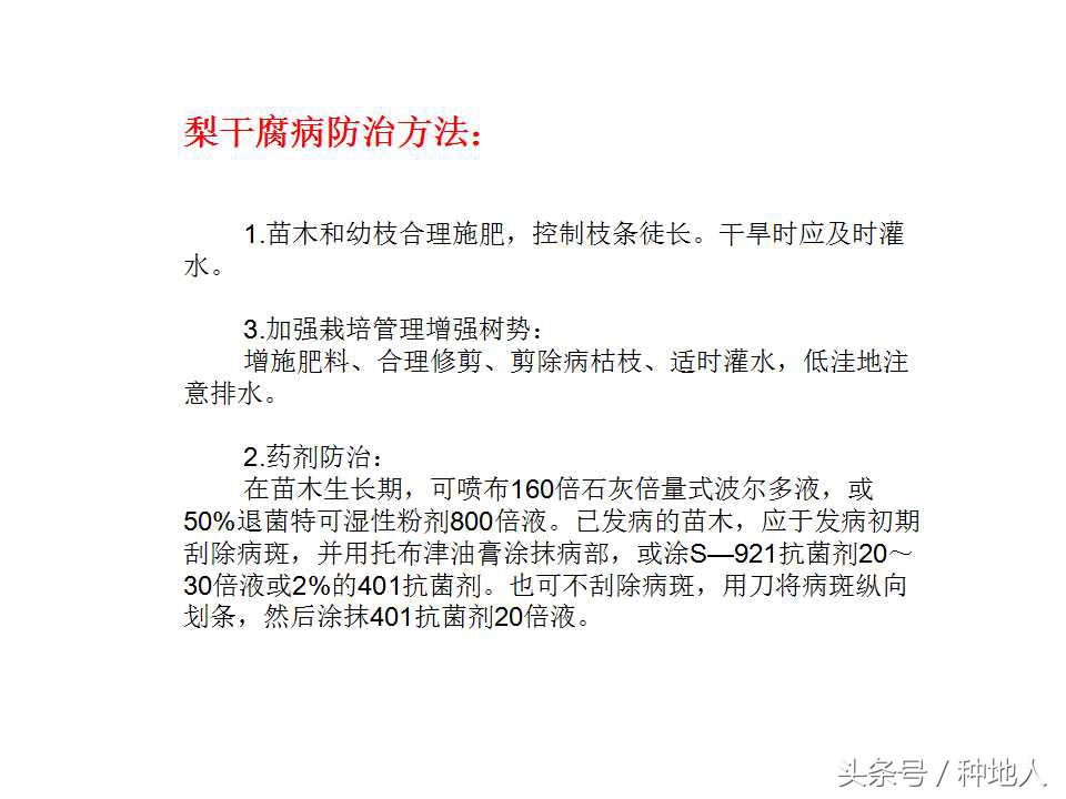 梨樹病蟲害防治,梨樹病蟲害防治時間表