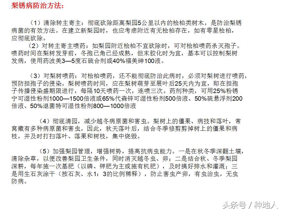 梨樹病蟲害防治,梨樹病蟲害防治時間表