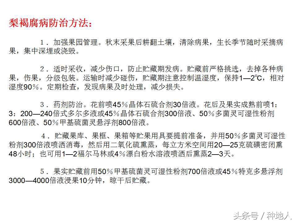 梨樹病蟲害防治,梨樹病蟲害防治時間表