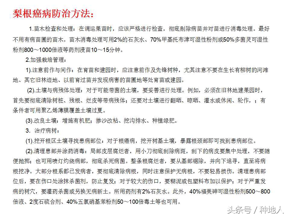 梨树病虫害防治,梨树病虫害防治时间表