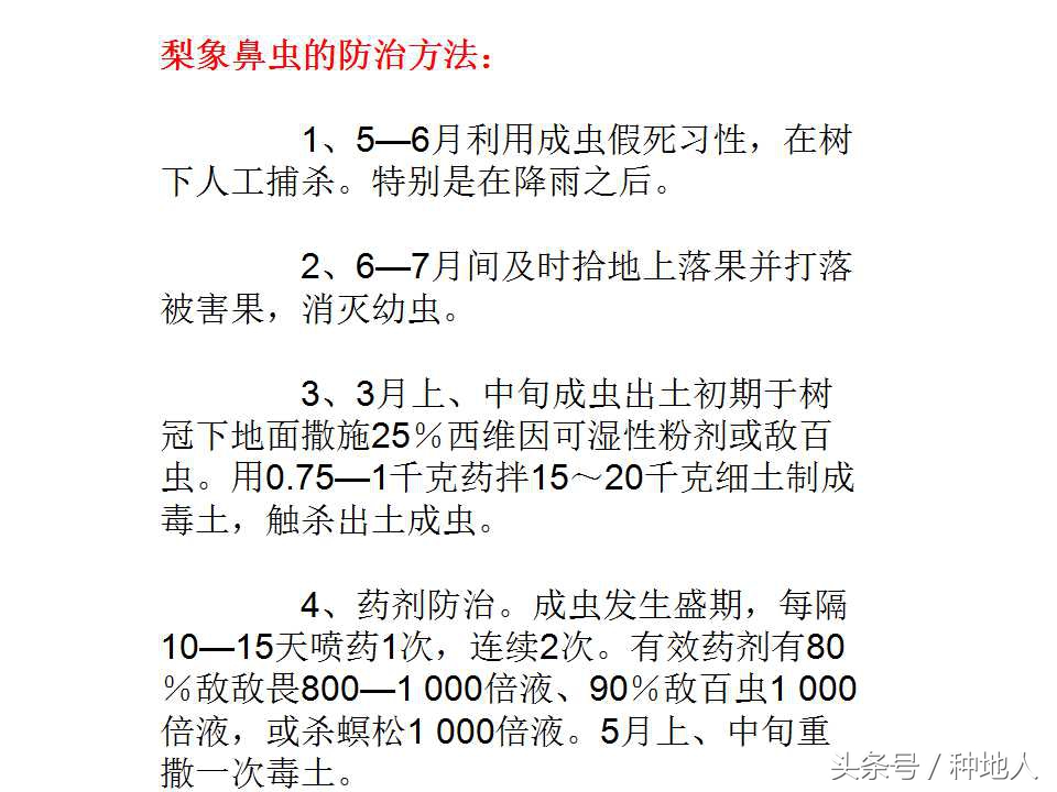 梨树病虫害防治,梨树病虫害防治时间表