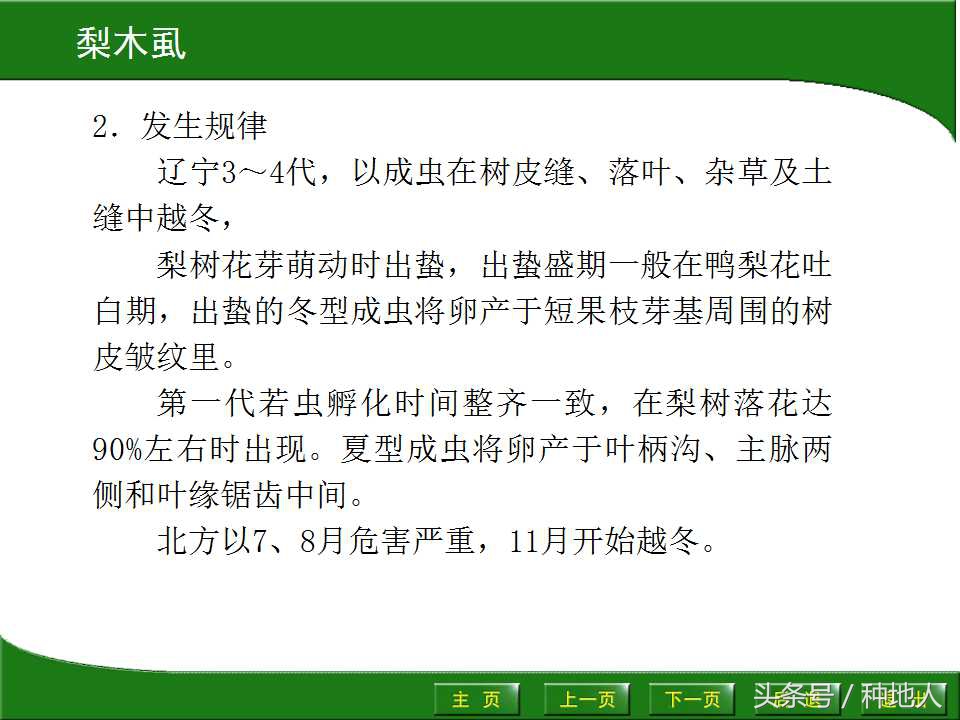 梨樹病蟲害防治,梨樹病蟲害防治時間表