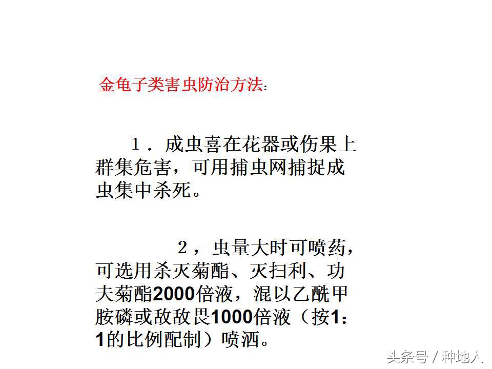 梨树病虫害防治,梨树病虫害防治时间表