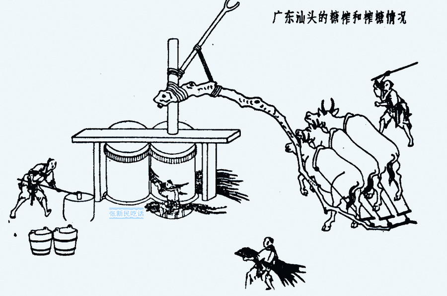 二,潮州白糖的制造和记载