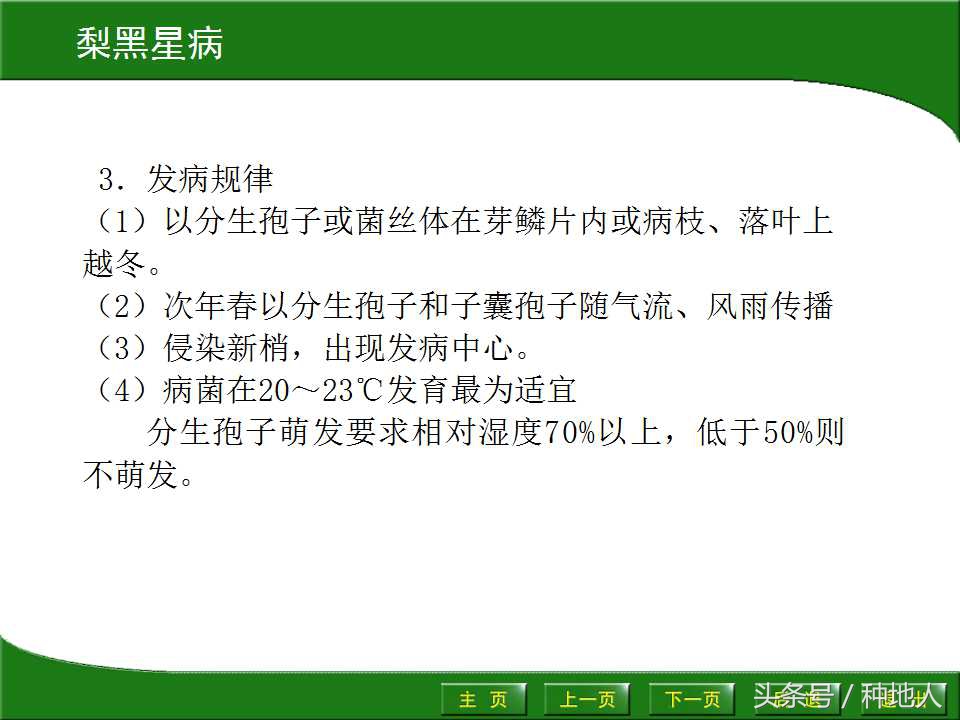 梨樹病蟲害防治,梨樹病蟲害防治時間表