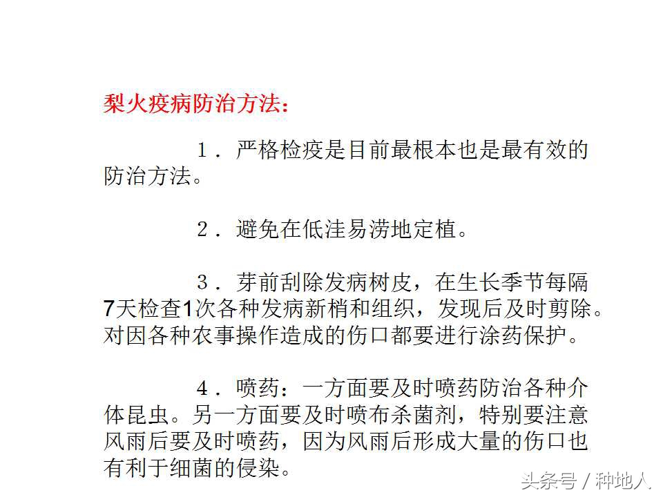 梨樹病蟲害防治,梨樹病蟲害防治時間表