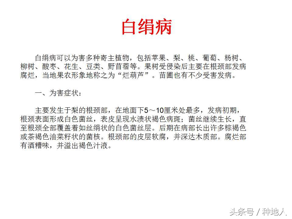 梨樹病蟲害防治,梨樹病蟲害防治時間表