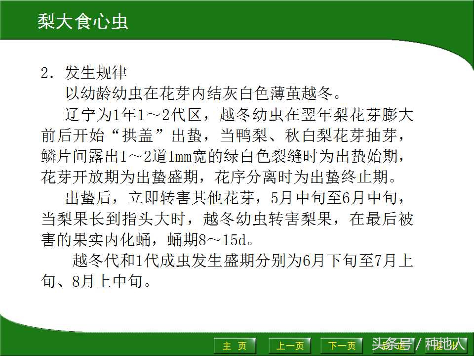 梨树病虫害防治,梨树病虫害防治时间表