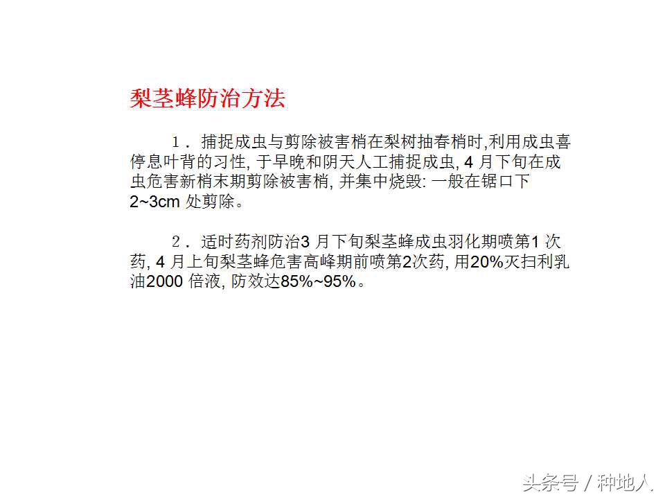 梨树病虫害防治,梨树病虫害防治时间表