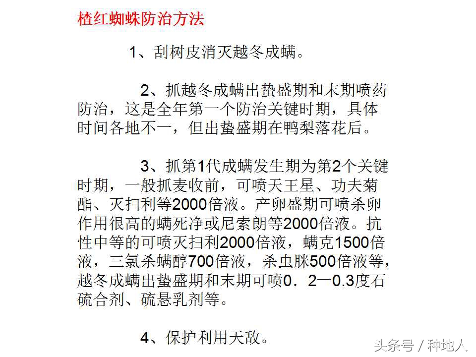 梨树病虫害防治,梨树病虫害防治时间表