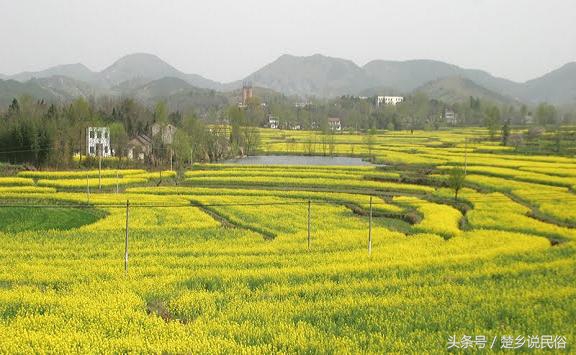 民俗文化，韵味十足的安陆土话歇后语，风趣、诙谐、形象