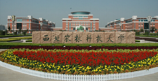 陕西拥有全国排名前十专业的高校，第一名竟不是最难考的交大！