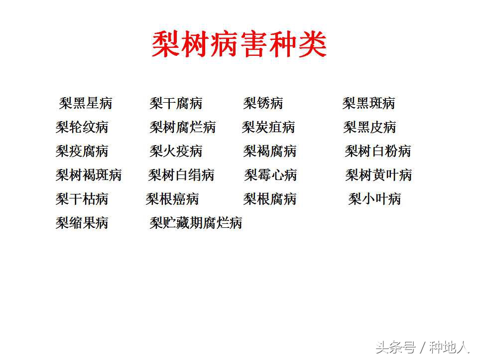 梨樹病蟲害防治,梨樹病蟲害防治時間表