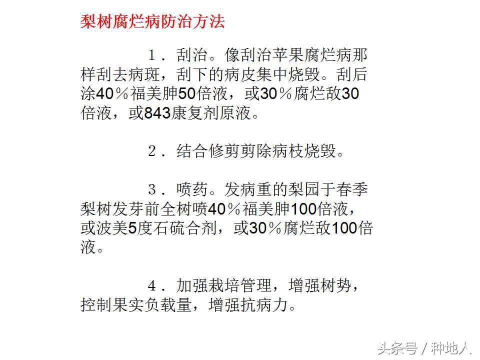 梨树病虫害防治,梨树病虫害防治时间表