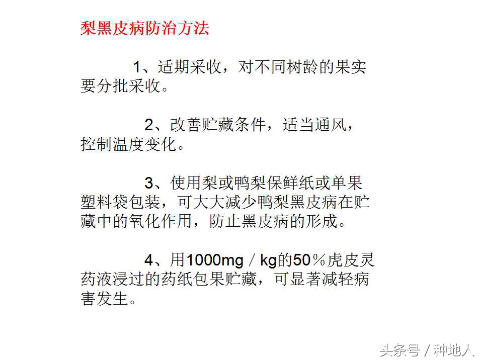 梨树病虫害防治,梨树病虫害防治时间表