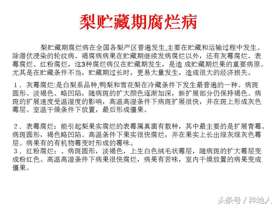 梨樹病蟲害防治,梨樹病蟲害防治時間表