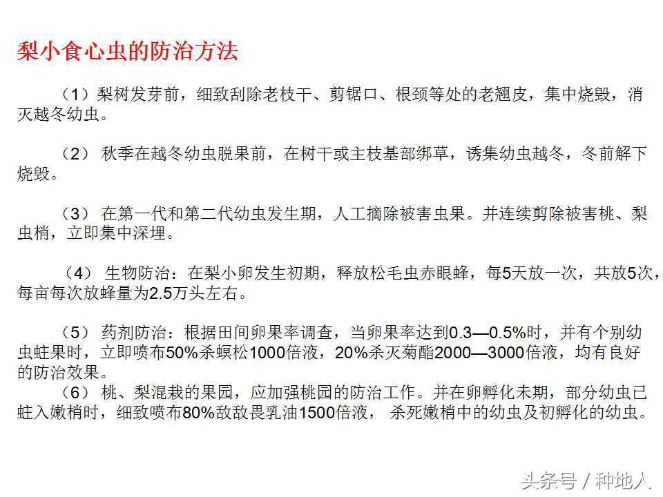 梨樹病蟲害防治,梨樹病蟲害防治時間表