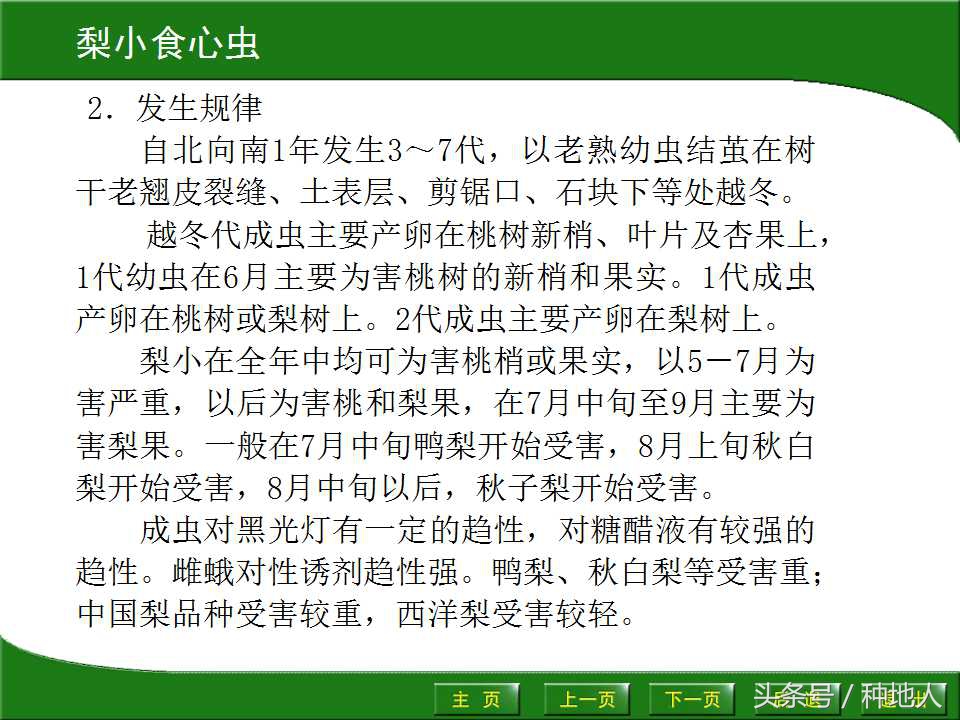梨樹病蟲害防治,梨樹病蟲害防治時間表