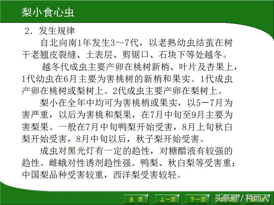 梨树病虫害防治,梨树病虫害防治时间表