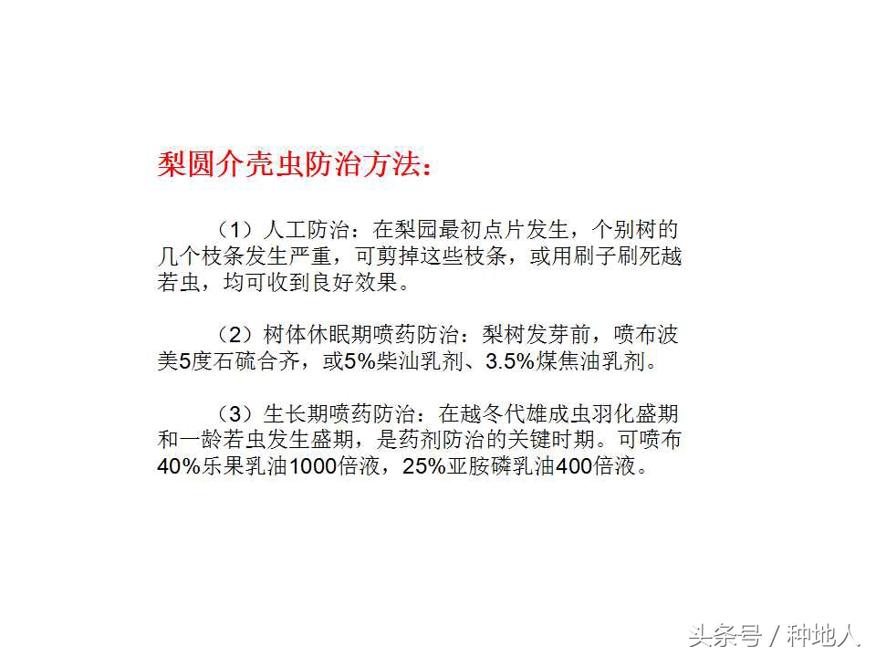 梨樹病蟲害防治,梨樹病蟲害防治時間表