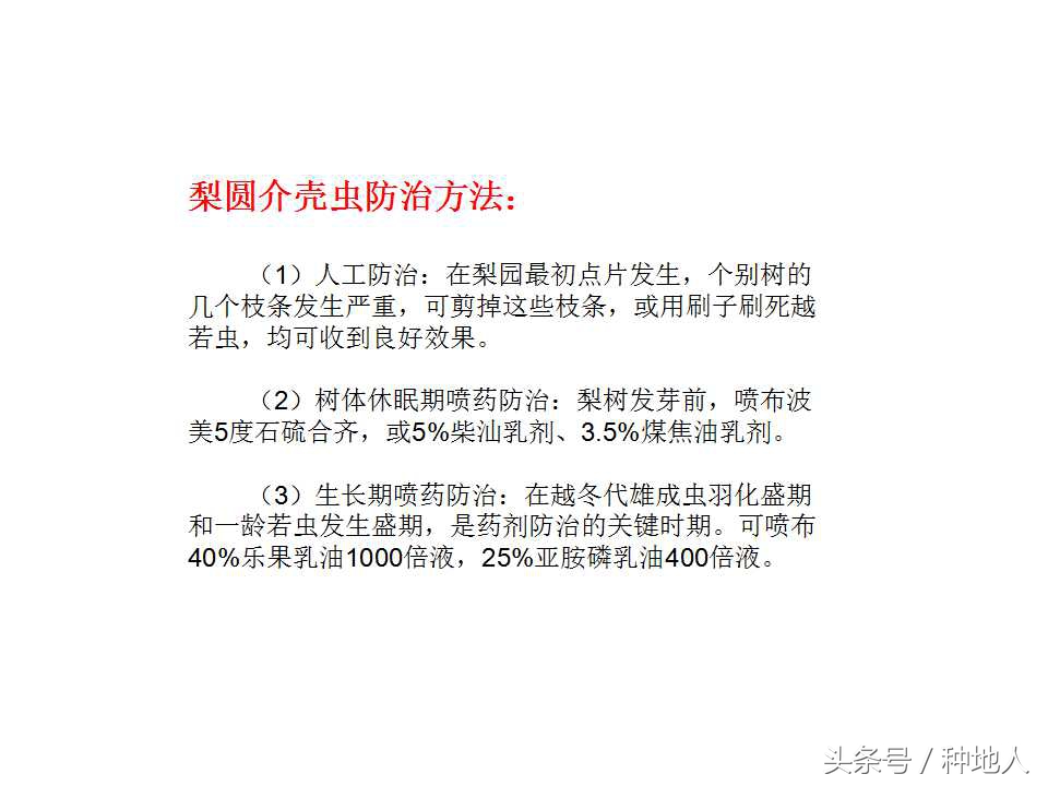 梨树病虫害防治,梨树病虫害防治时间表