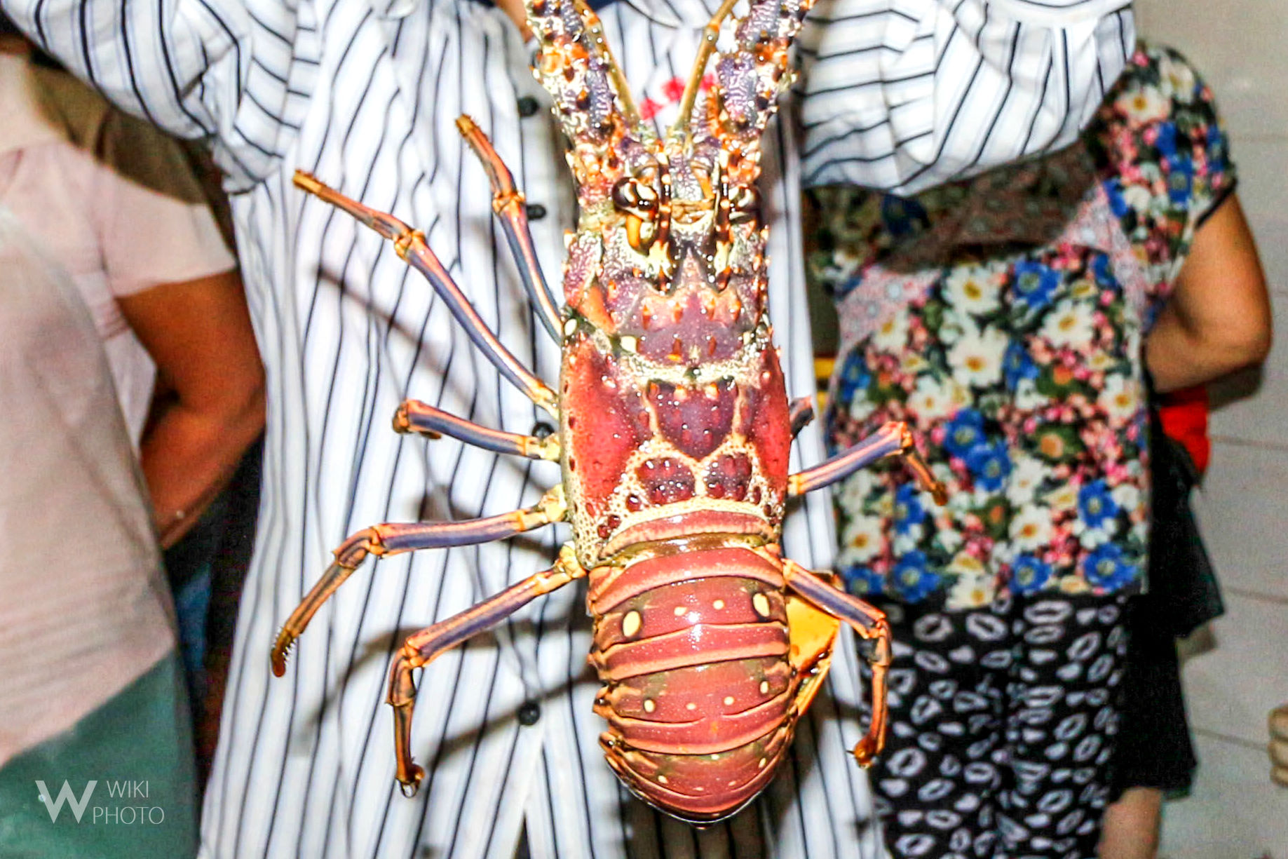 三亚第一市场,海鲜怎么"选" "做"好吃?