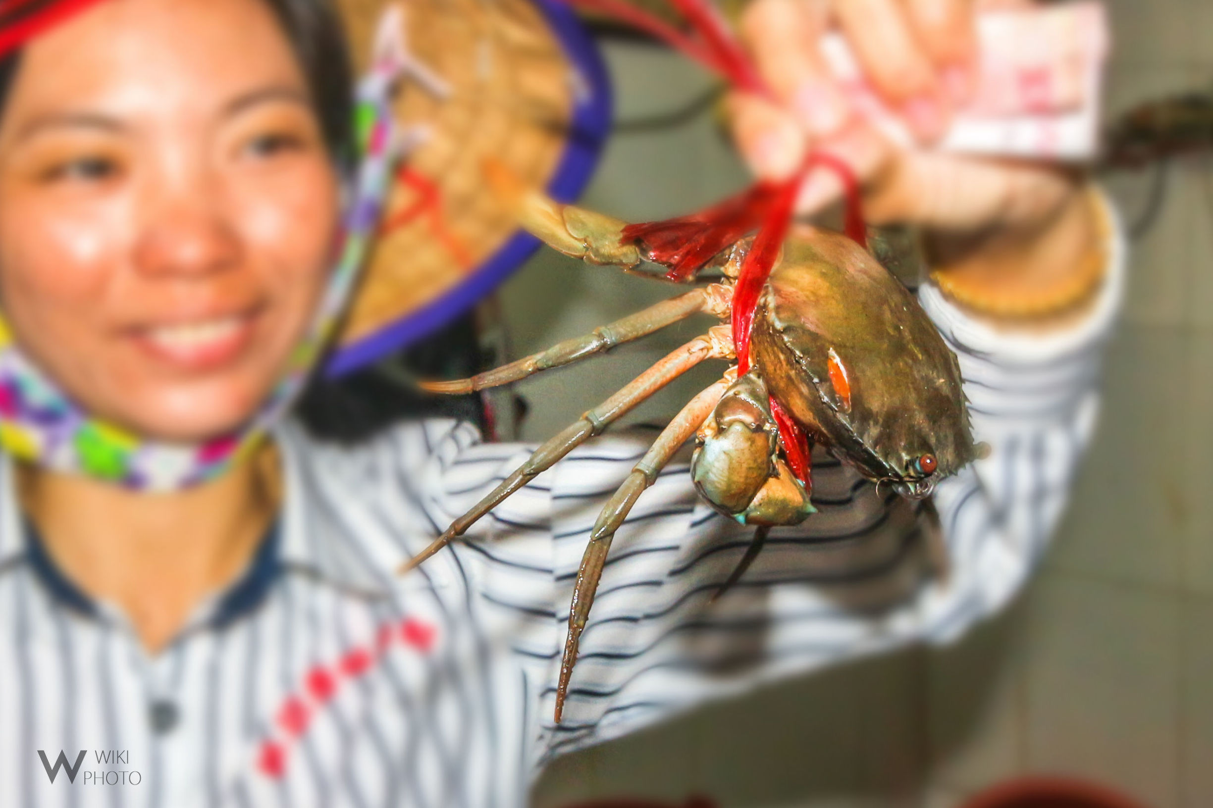 三亚青衣鱼多少钱一斤(三亚第一市场) - 价格百科