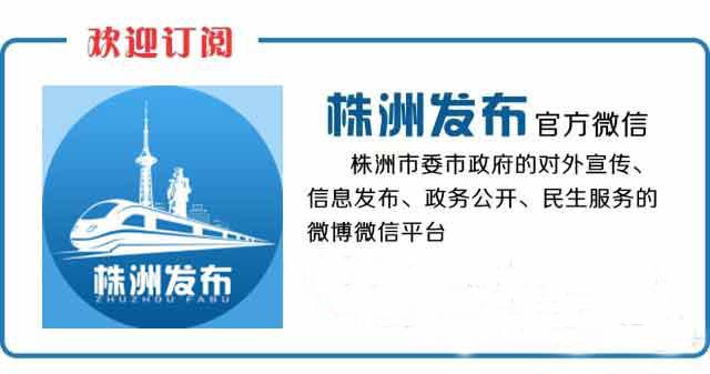 为救导师身中5刀的株洲留美博士肖雅清 将被推荐为“中国好人”