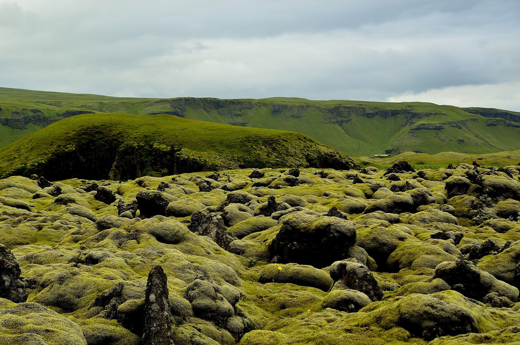 冰岛旅游之冰岛苔原 - 114货源网