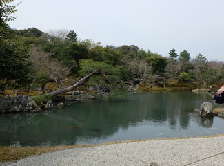 悦本堂 灸减肥招聘赶（粉粉樱花季浓浓少女心）