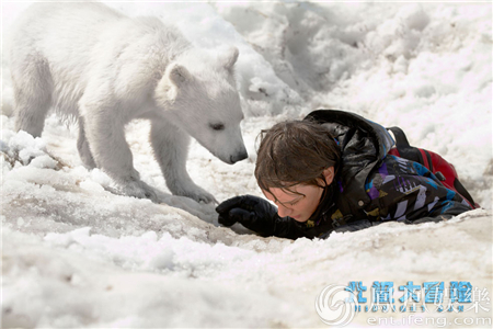 《北极大冒险》明日欢乐上映 冰雪版少年派抢滩元旦