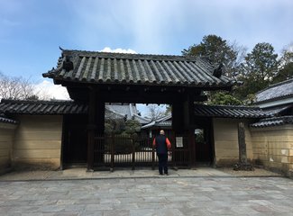 粉粉樱花季浓浓少女心