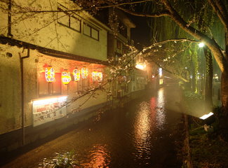 悦本堂 灸减肥招聘赶（粉粉樱花季浓浓少女心）